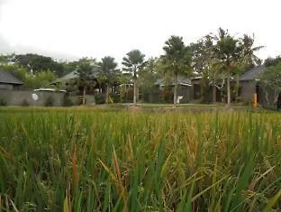 Umae Hotel 4*